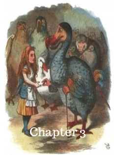 Chapter Three Image